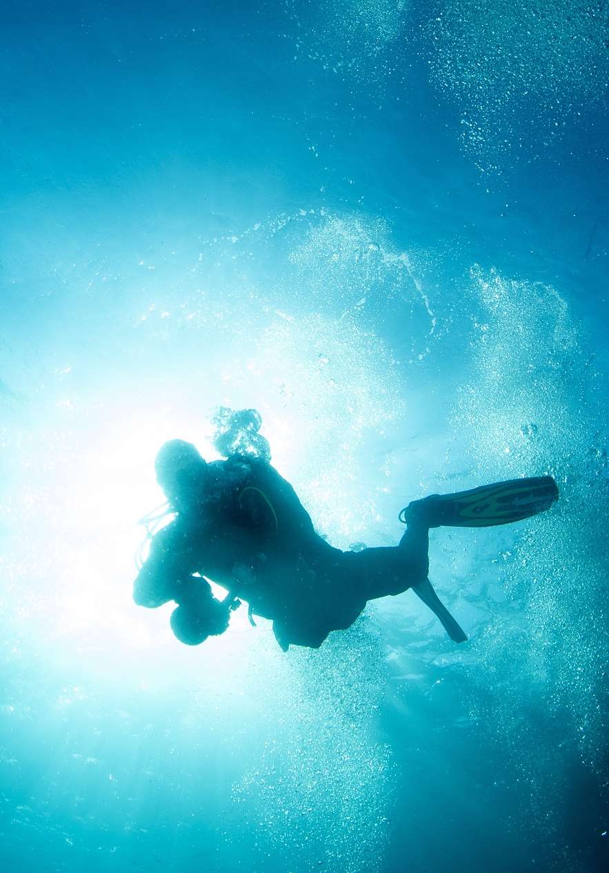 No Parque Ocean Revival tem a oportunidade de mergulhar em quatro navios e explorá-los