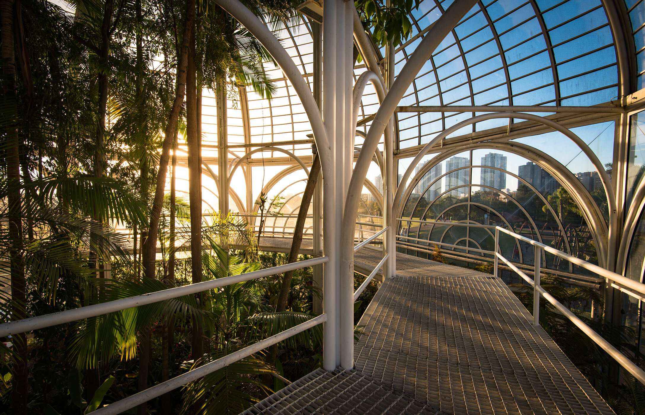 Der Botanische Garten von Curitiba begeistert mit seinem Glashaus, blühenden Gärten und ruhigen Wegen für entspannte Spaziergänge