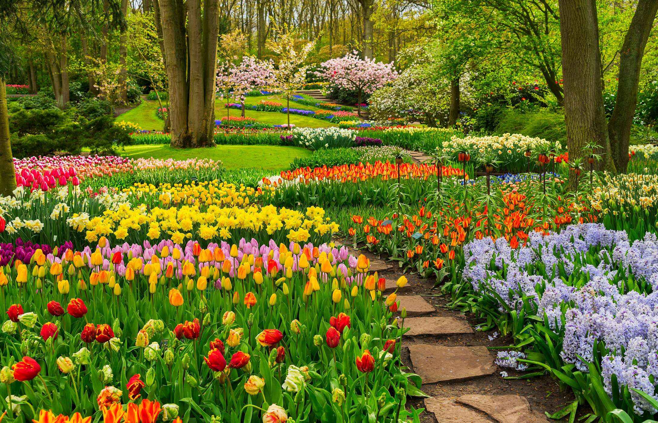 Keukenhof in Lisse, Niederlande, mit Tulpen in vielen Farben, einem Steinweg und Vegetation.