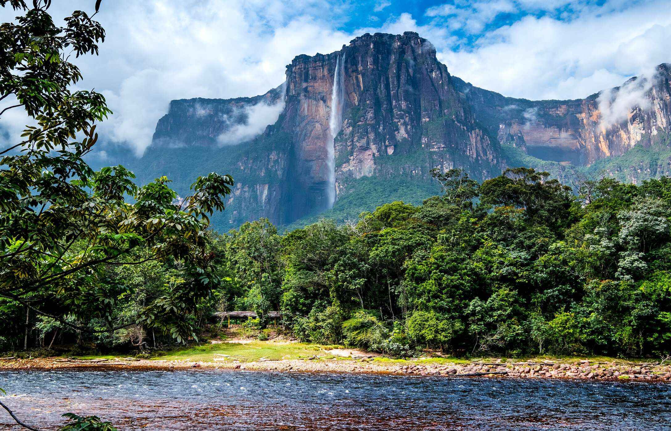 Panoramablick auf die Ángel-Fälle in Venezuela, mit Wasserfällen, umgeben von tropischer Vegetation.
