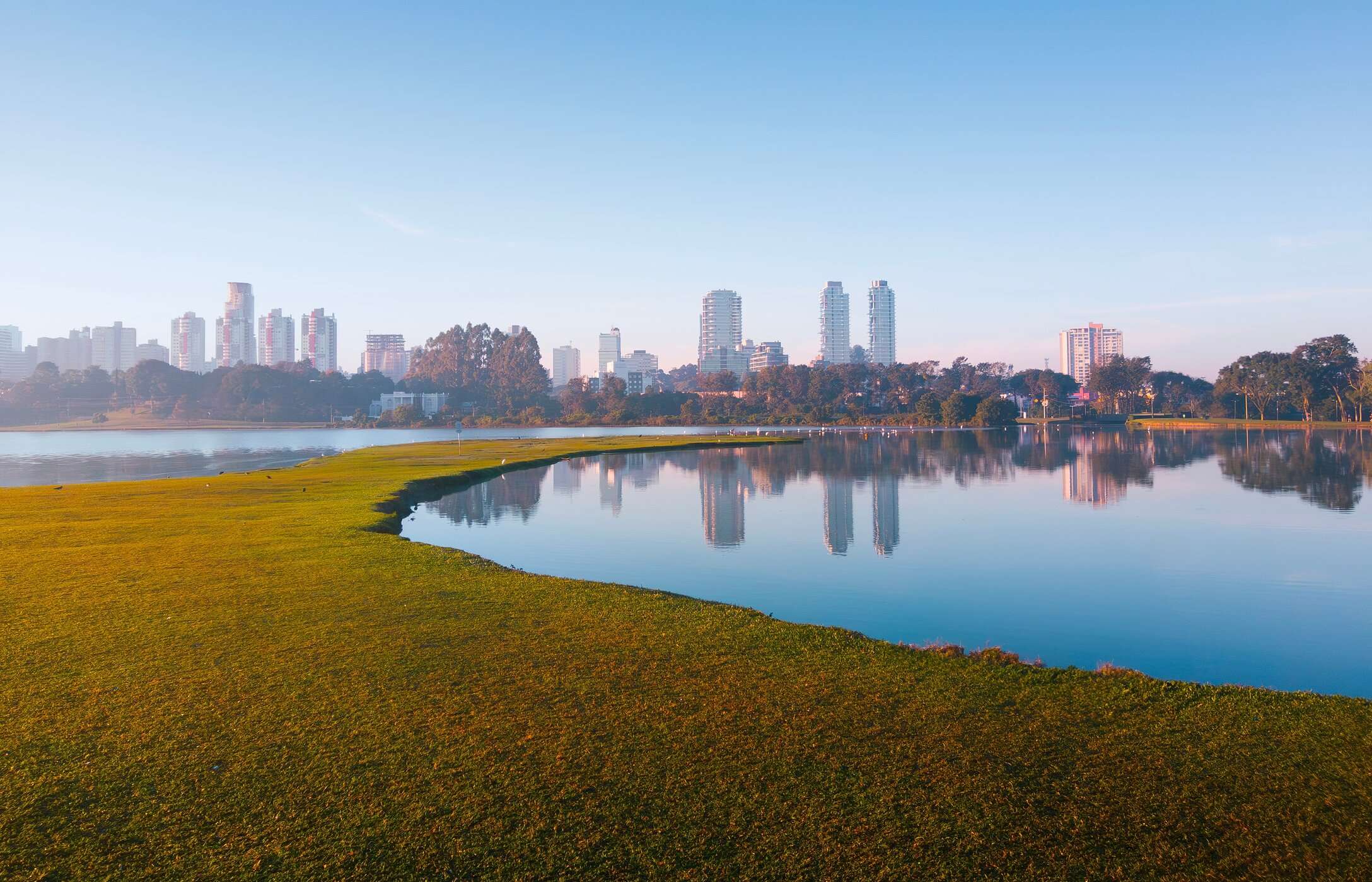 Barigui Park in Curitiba is a green haven, perfect for walking, picnicking, and spotting capybaras along the lake