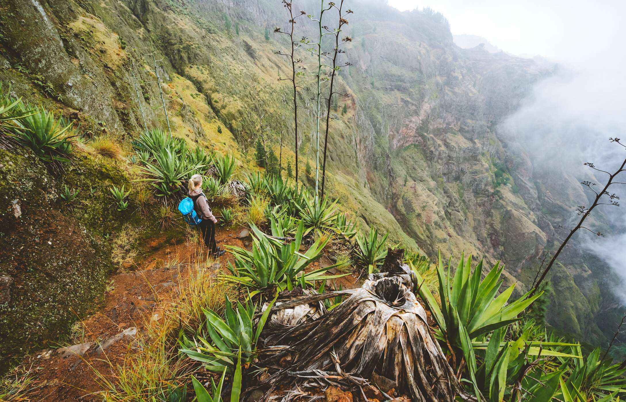 Woman walking in a mountainous landscape with plants and a deep valley in Vale de Paúl, Cape Verde