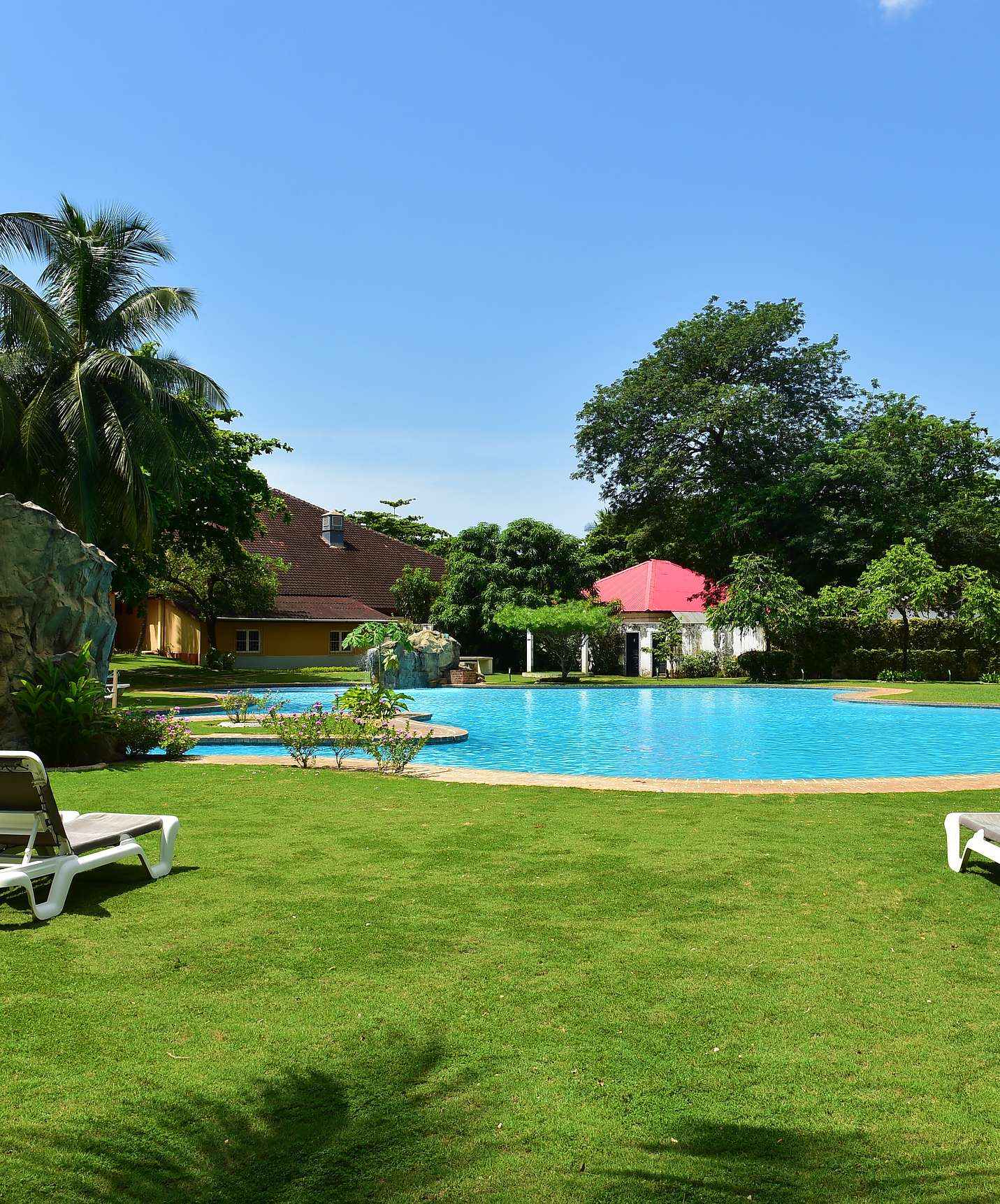 Outdoor pool with sun loungers in a garden with green grass and trees at the hotel with a pool, facing the beach