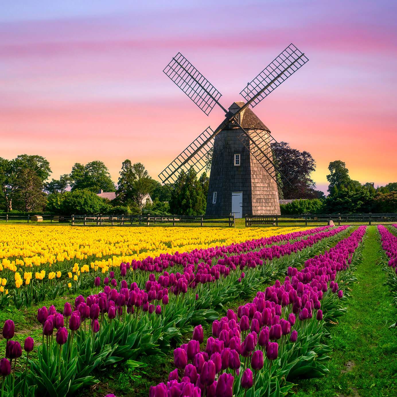 Stay at a Pestana hotel and explore the vast blooming tulip fields and typical windmills of the Netherlands.