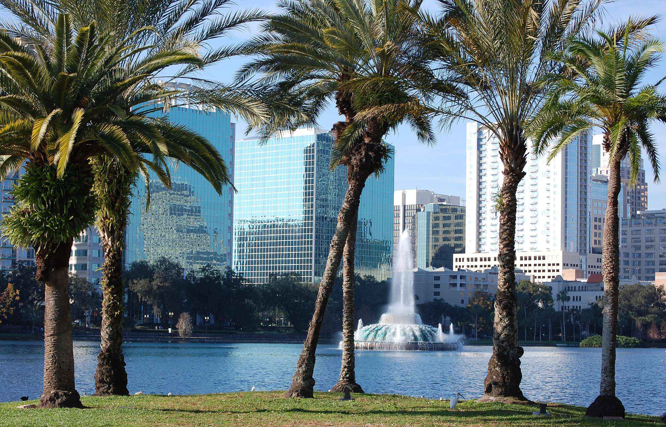 View of Eola Fountain, surrounded by palm trees and buildings in the background