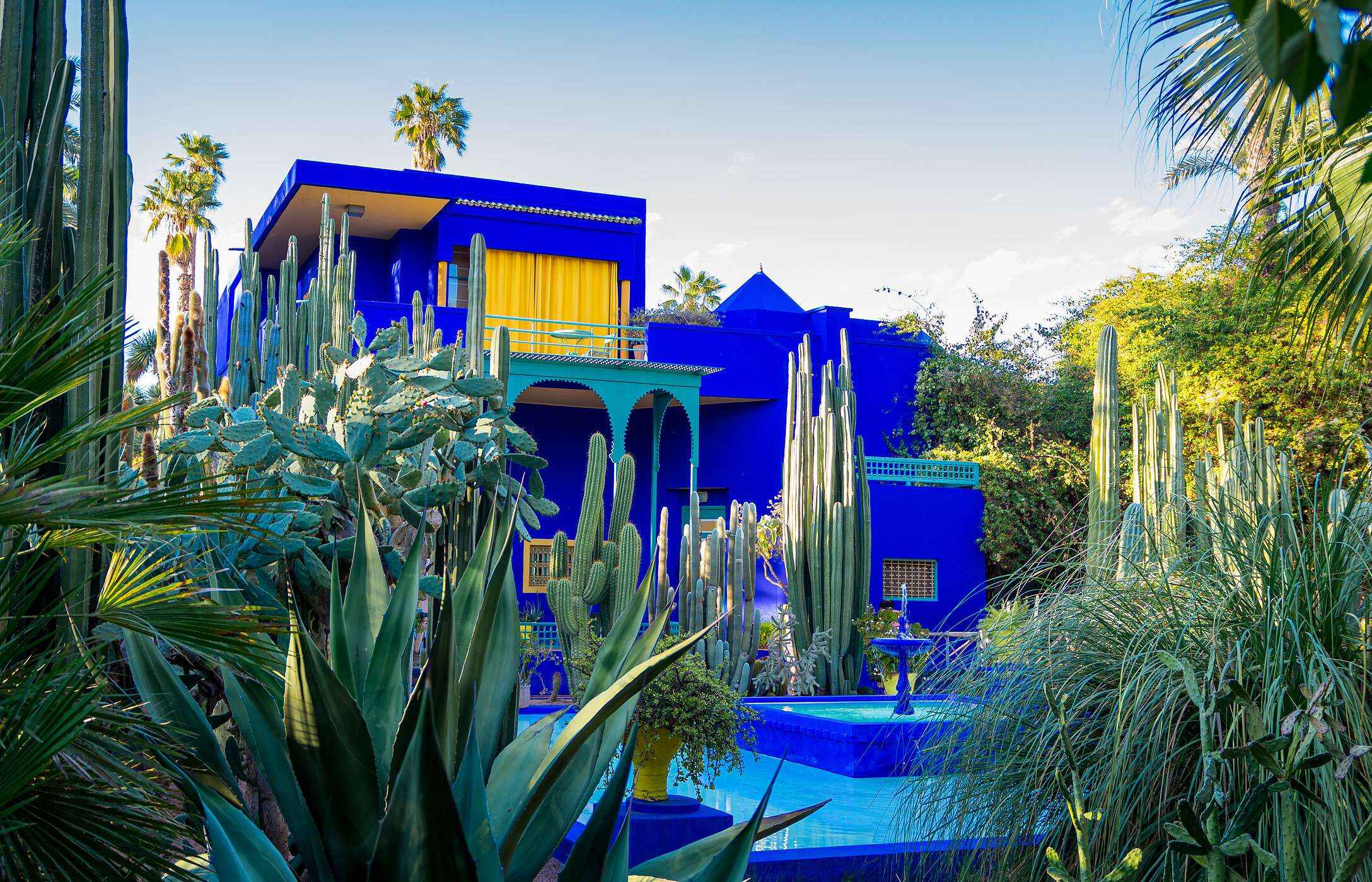 The Majorelle Garden with a great diversity of botanical species and a bright blue house with yellow curtains and a fountain