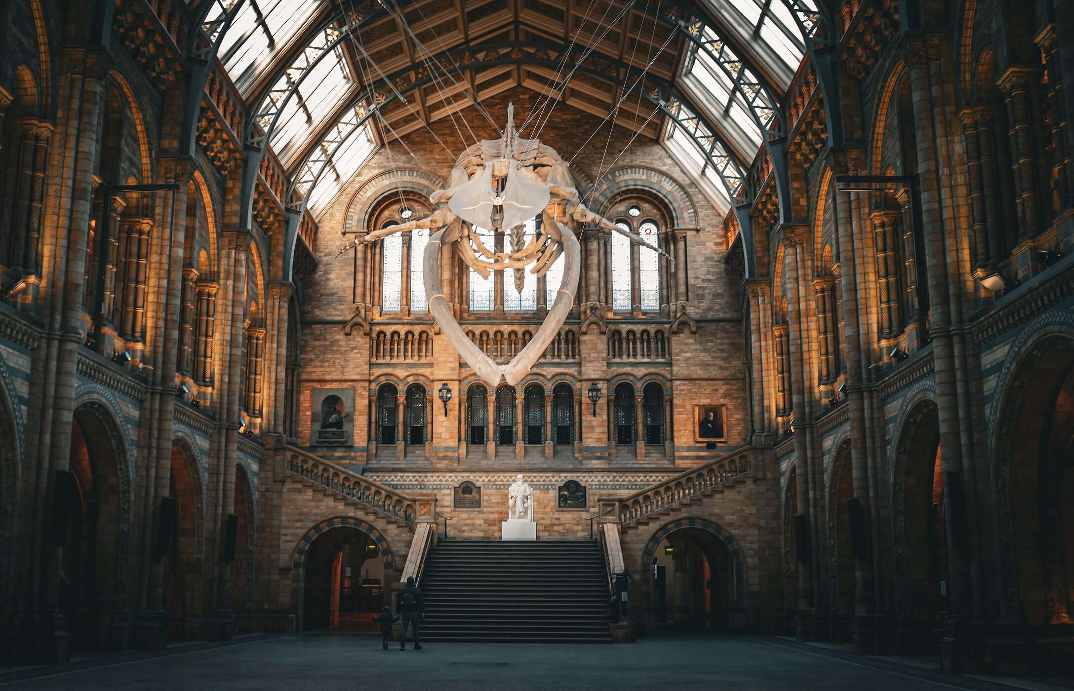 Skeleton of a blue whale suspended from the ceiling of the iconic Natural History Museum hall in London