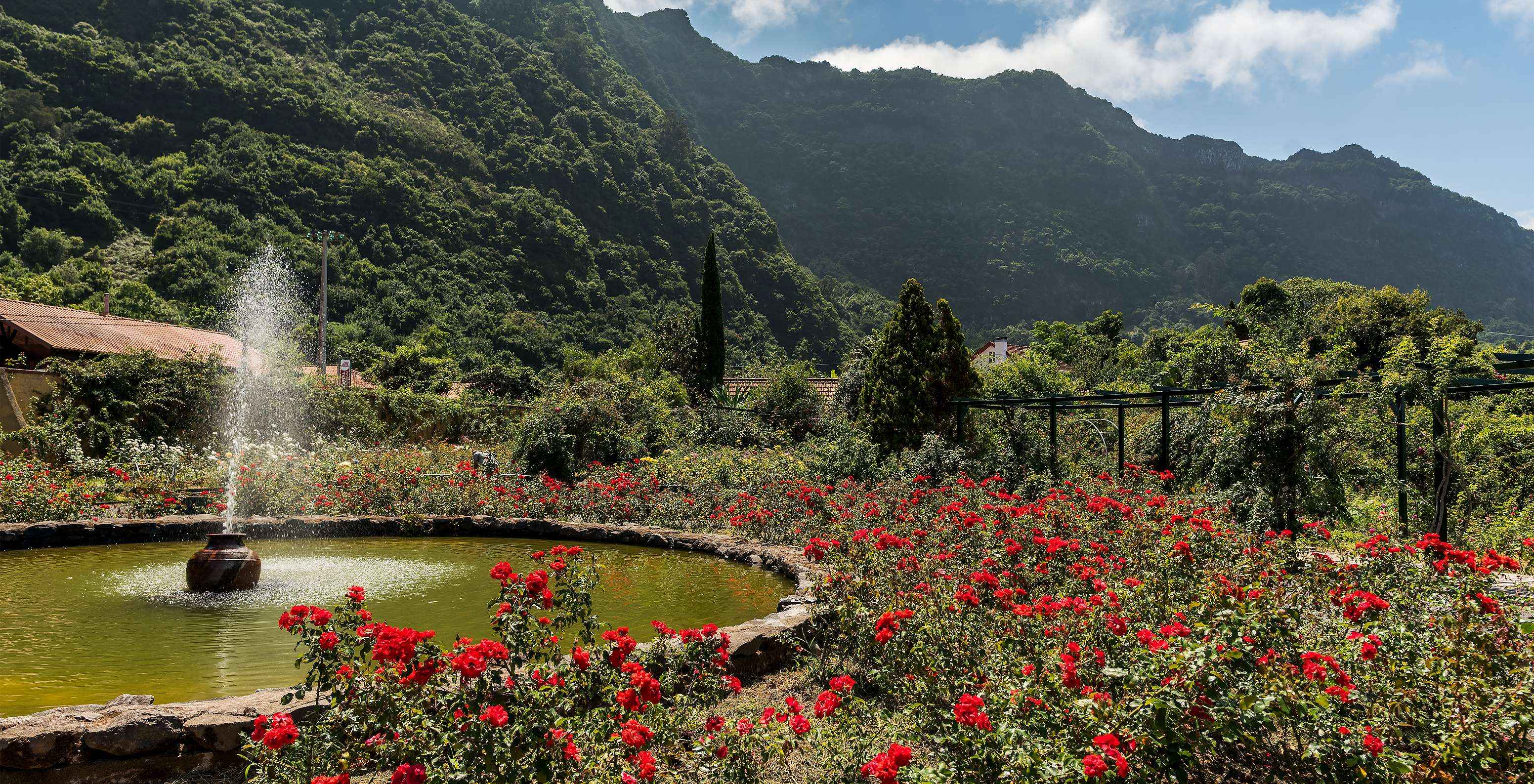 Fuente en el centro del rosal de la Quinta do Arco, con mucha vegetación y rosas rojas, con montañas al fondo