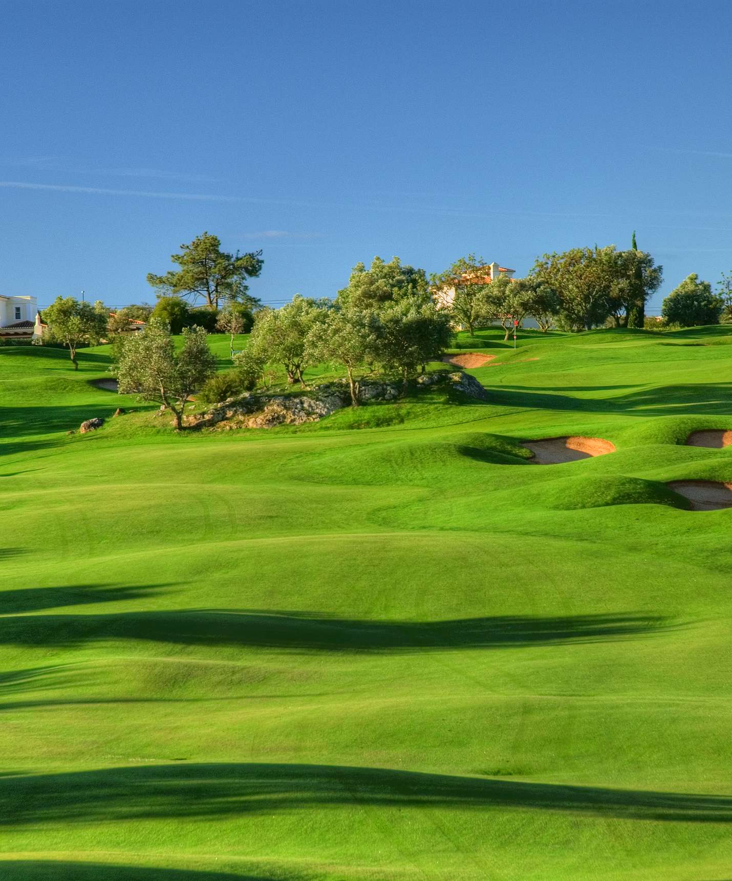 Campo de golf verde en Carvoeiro, cerca del Pestana Palm Gardens, con bunkers de arena y varios árboles