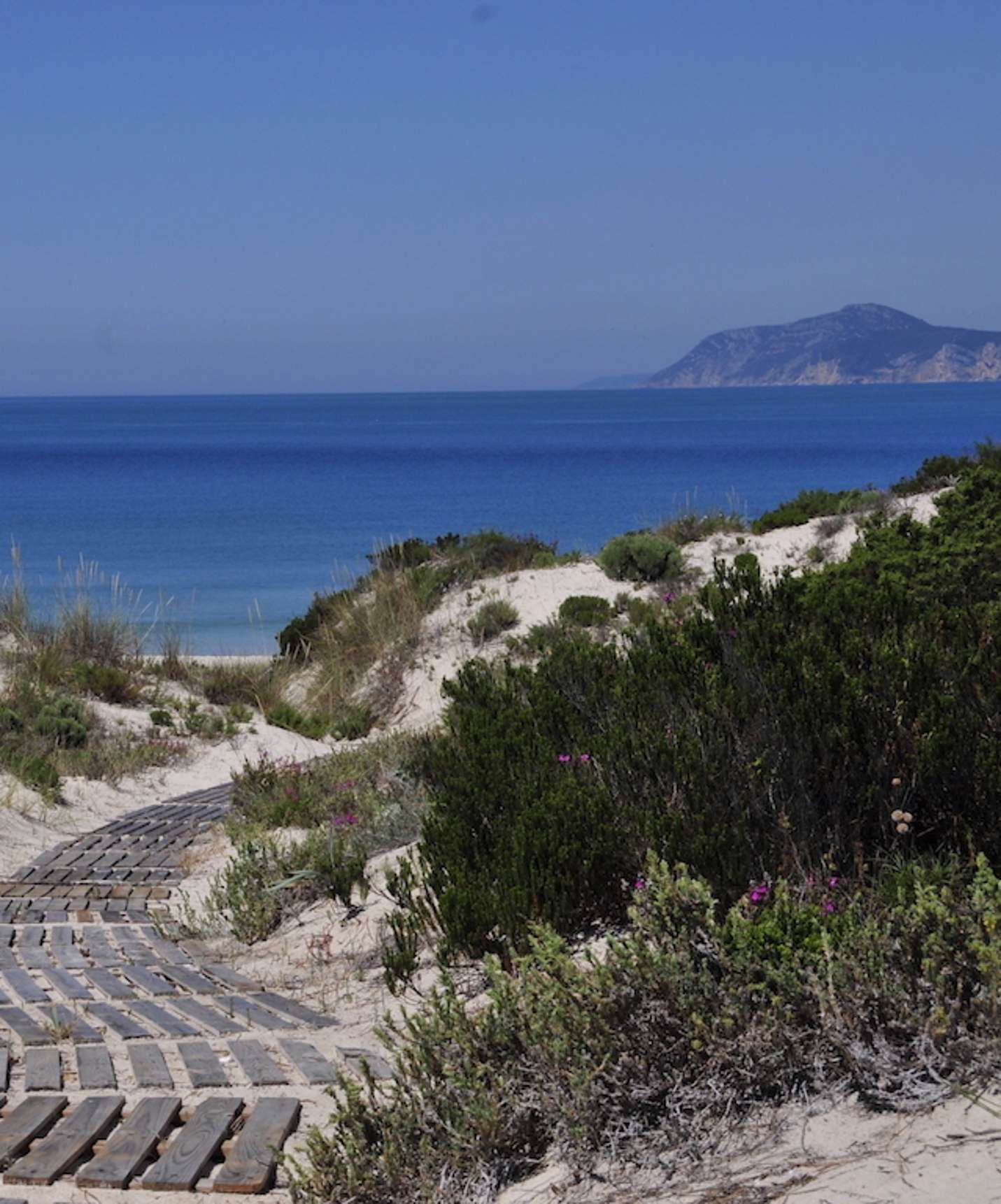 Passerelle en bois donnant accès direct à la plage de Soltroia depuis le Pestana Tróia Eco Resort