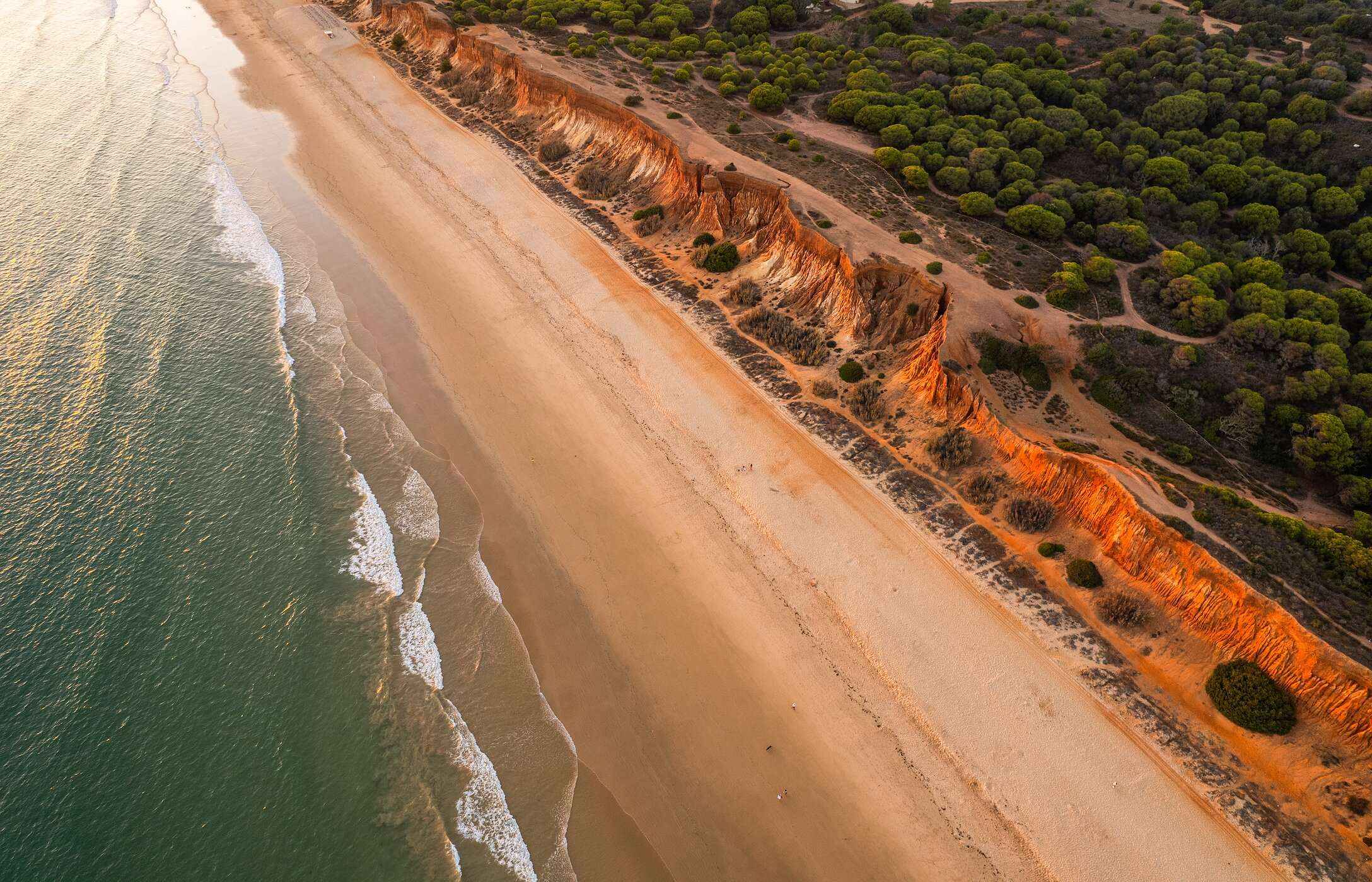 Vue aérienne de la Praia da Falésia, en Algarve, avec une vaste plage de sable doré le long de la côte et des eaux cristallines