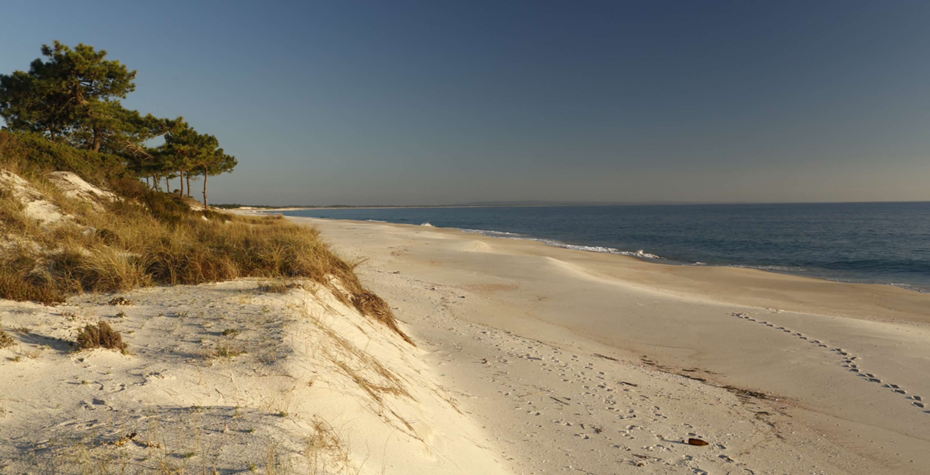 Uitgestrekt zandstrand van Praia de Soltroia, in het gouden uur van zonsondergang, met vegetatie op de duinen en kalme zee