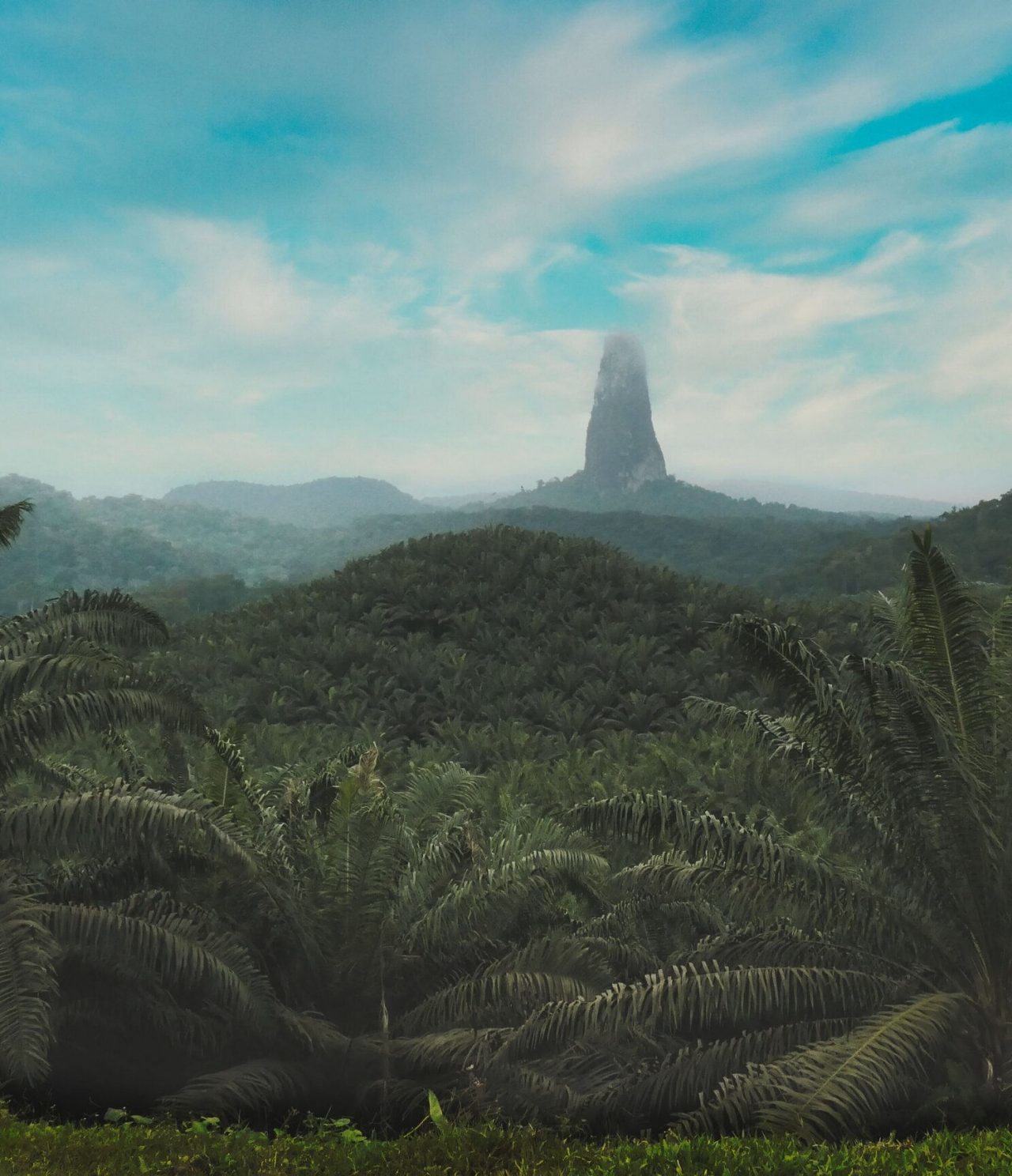 Blick auf einen Wald auf der Insel São Tomé und Príncipe, mit etwas Nebel im Hintergrund und einem blauen Himmel