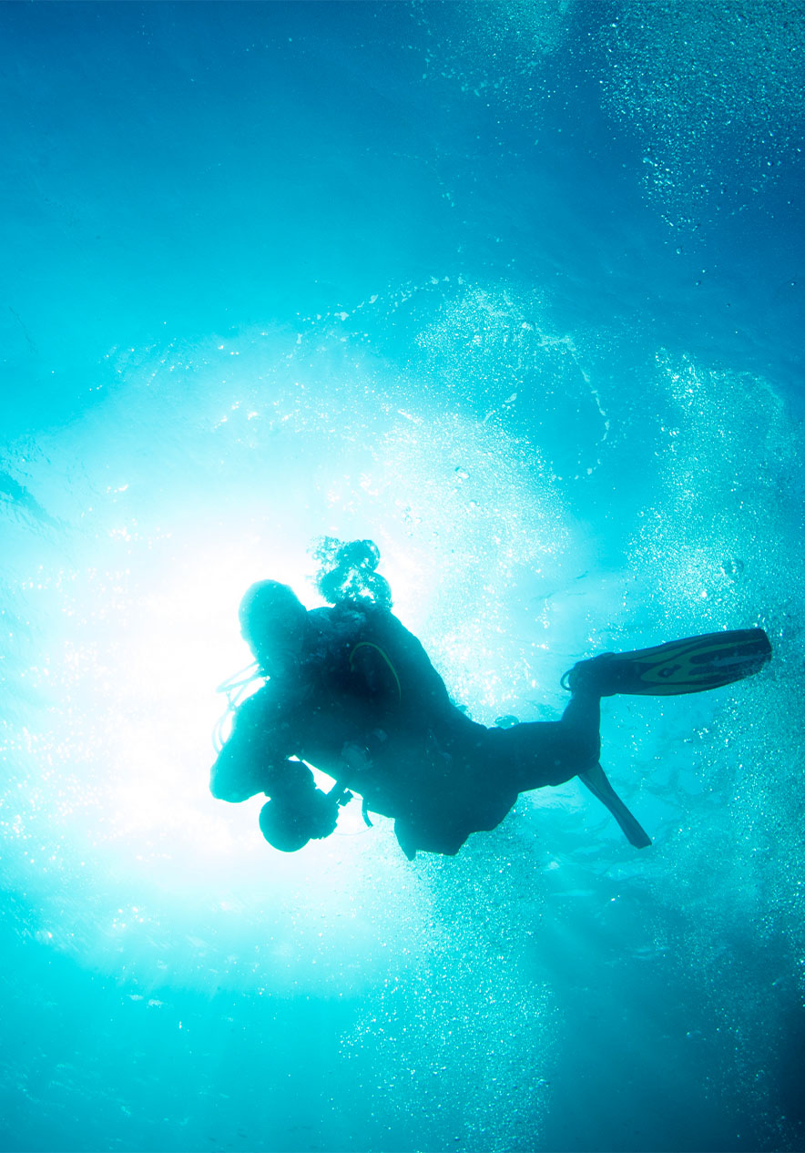 Im Ocean Revival Park haben Sie die Möglichkeit, vier Schiffe zu tauchen und zu erkunden
