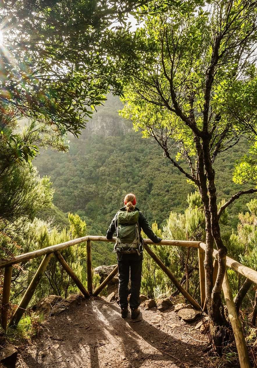 Laurissilva-Wald auf Madeira, wo man auf den berühmten Levadas mit einem Rucksack wandern kann