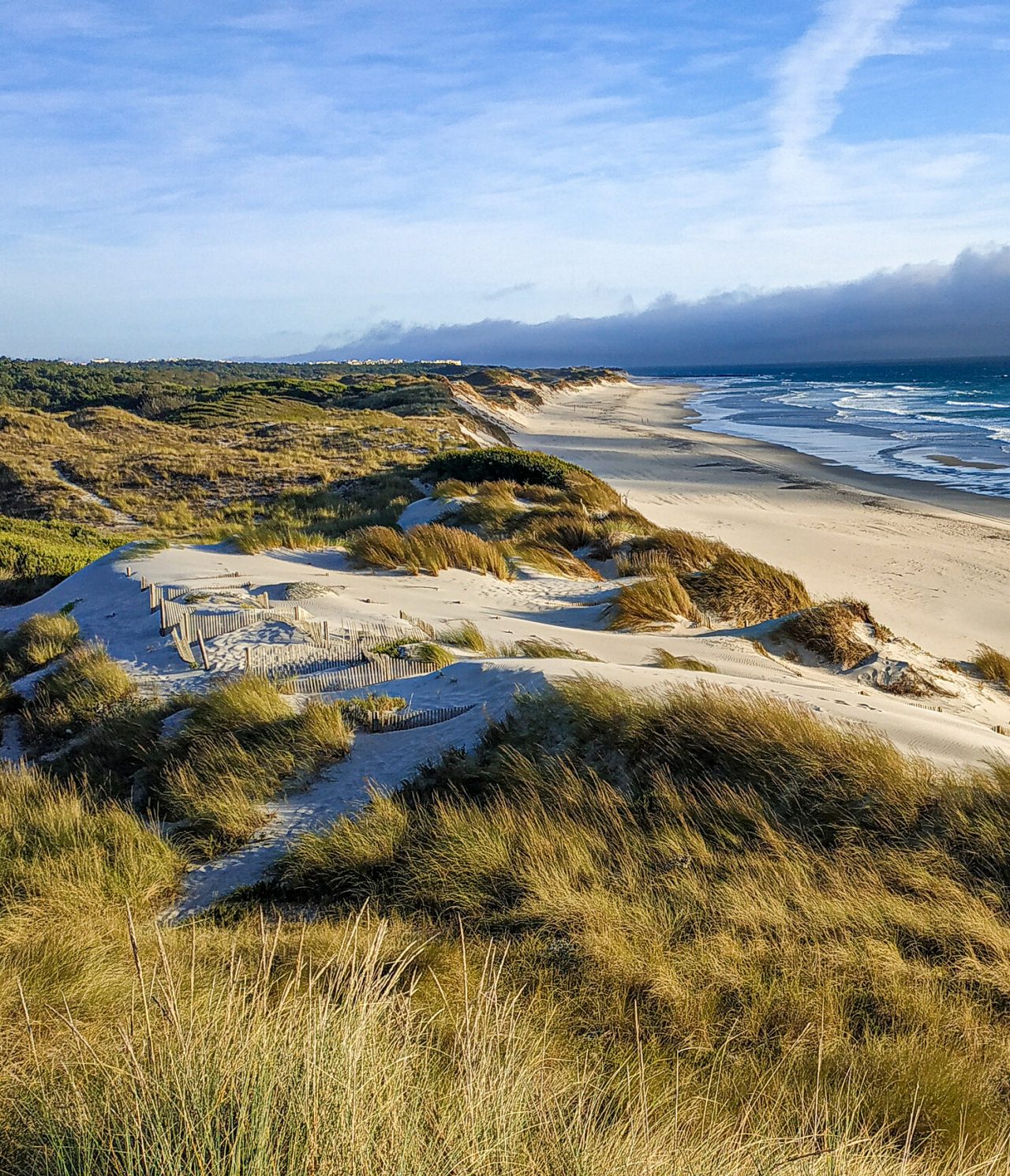 Weitläufiger weißer Sandstrand, mit von Vegetation bedeckten Dünen und einem endlosen Meereshorizont