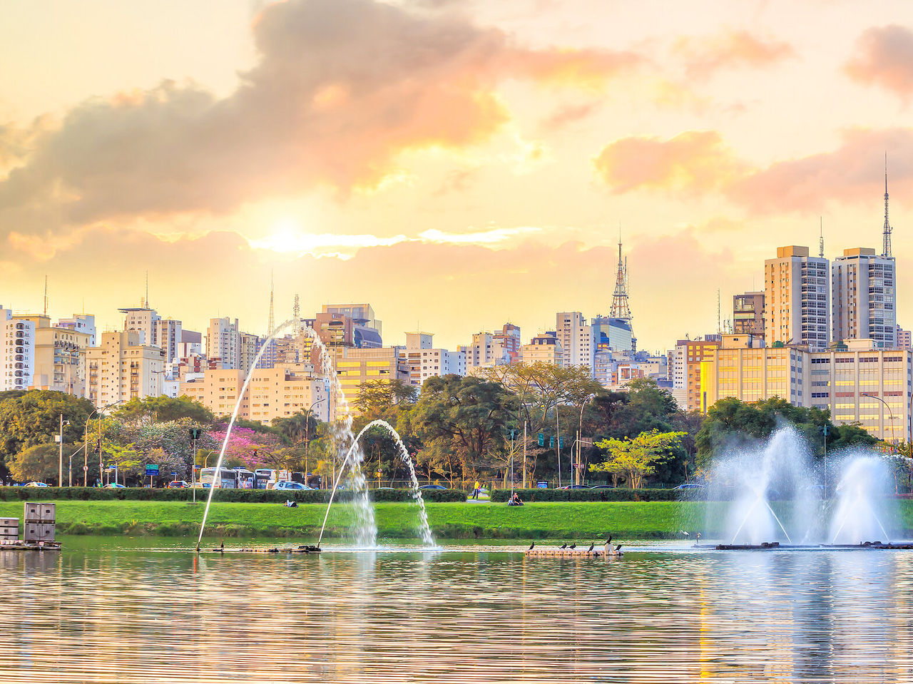 Blick auf den Ibirapuera Park, mit den modernen Gebäuden von São Paulo im Hintergrund
