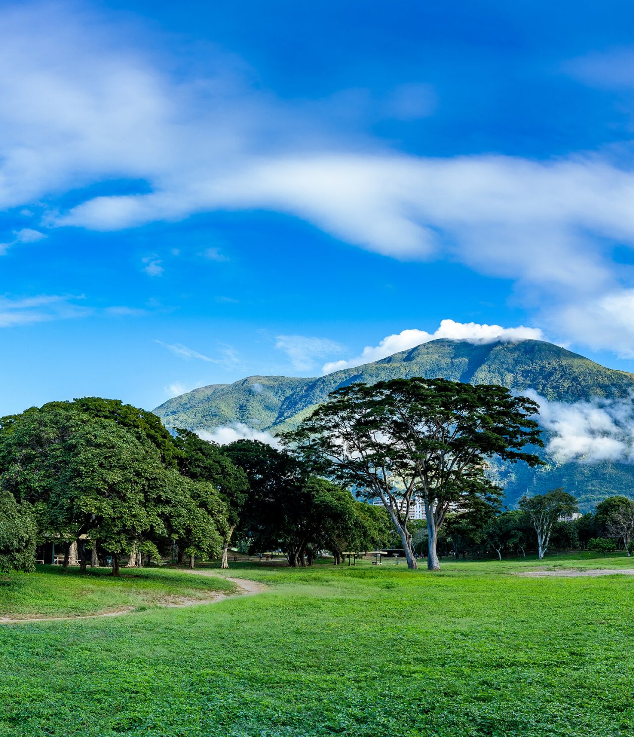 Weite Naturlandschaft mit einer imposanten Berg im Hintergrund, bedeckt von Wolken und blauem Himmel in Caracas