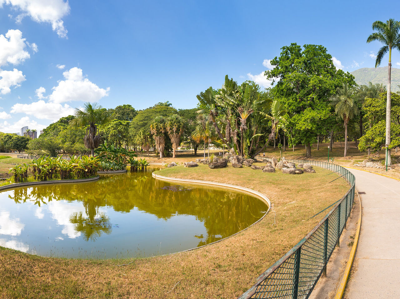 Gebogener künstlicher See in einem Park in Caracas, umgeben von Bäumen und blauem Himmel