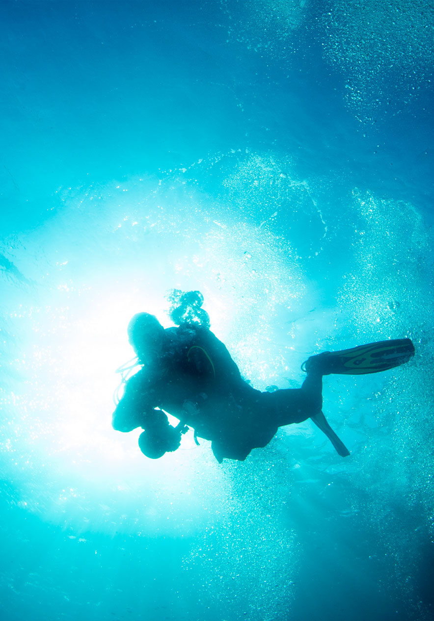 At Ocean Revival Park you have the opportunity to dive into four ships and explore them