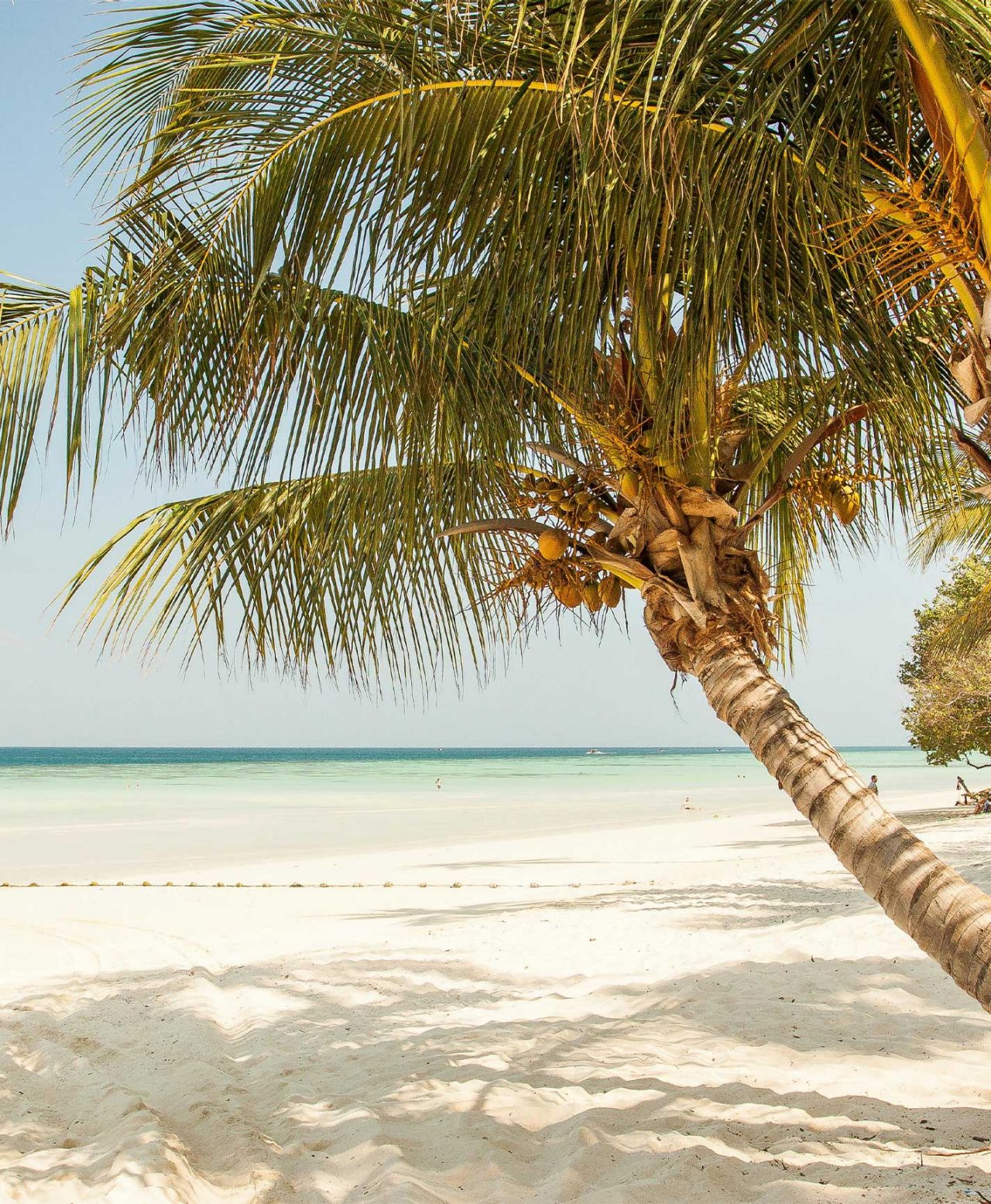 Paradise beach, with white sand, blue water, and palm trees, at a hotel of the Pestana Hotels & Resorts brand