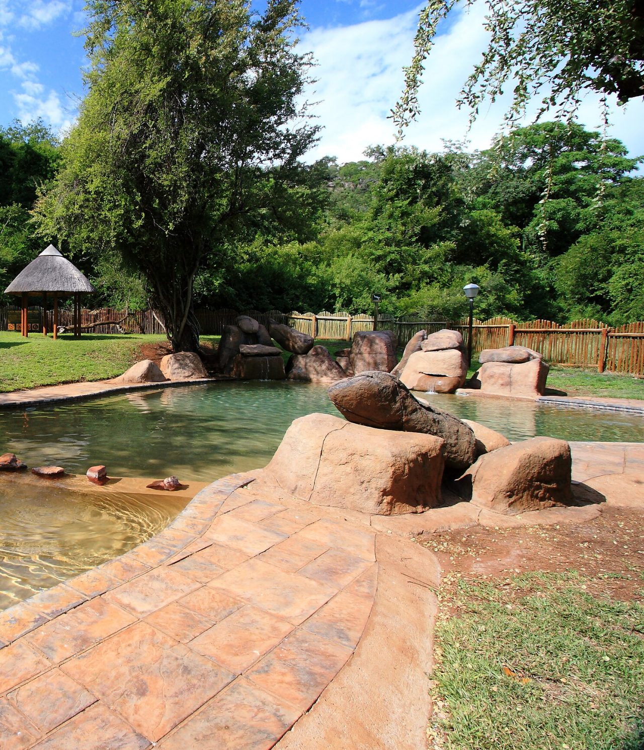 Piscina artificial en el Parque Kruger, con rocas y agua verde, rodeada de vegetación