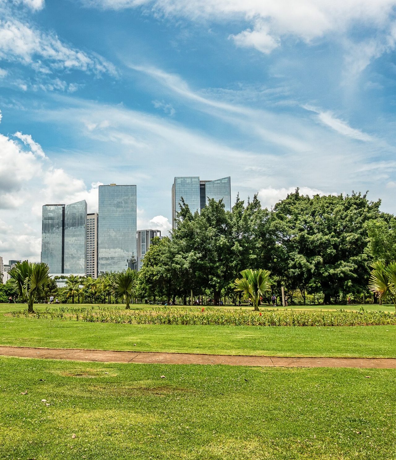 Vista de un jardín en São Paulo, con césped y varios tipos de árboles, con edificios altos espejados al fondo
