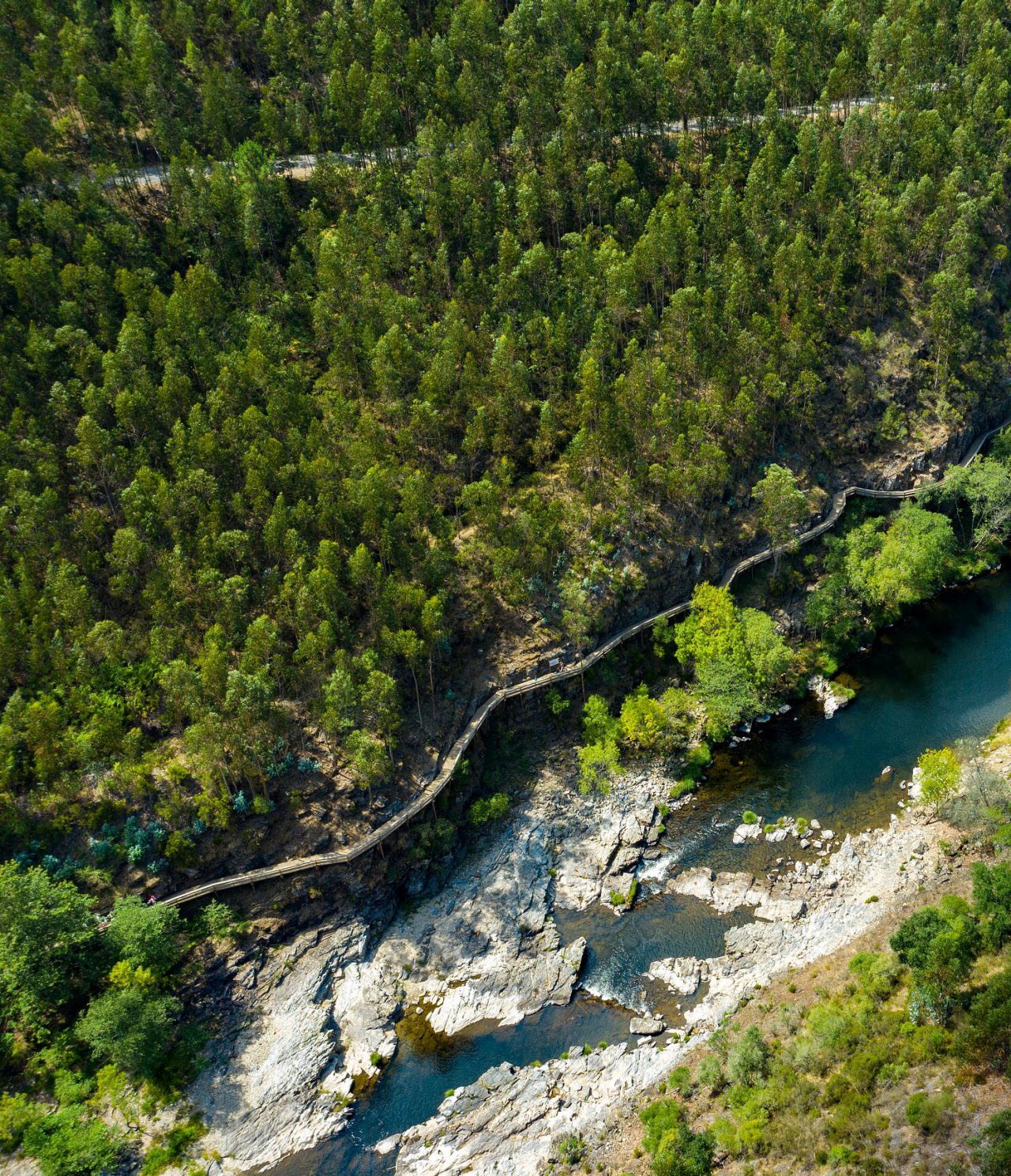 Vista aérea de un río serpenteando por un bosque exuberante