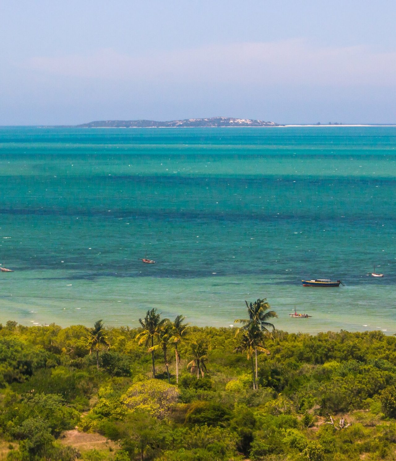 Vue aérienne d'une plage tropicale avec des palmiers, des bateaux de pêche et une mer turquoise avec une île en arrière-plan