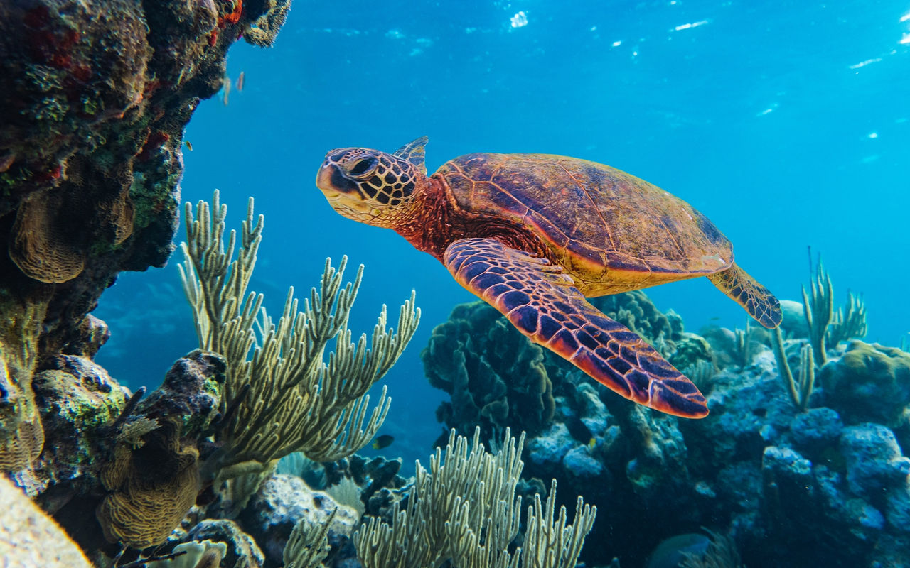 Découvrez sur Pestana Stories, nos conseils pour votre prochain voyage à Bazaruto