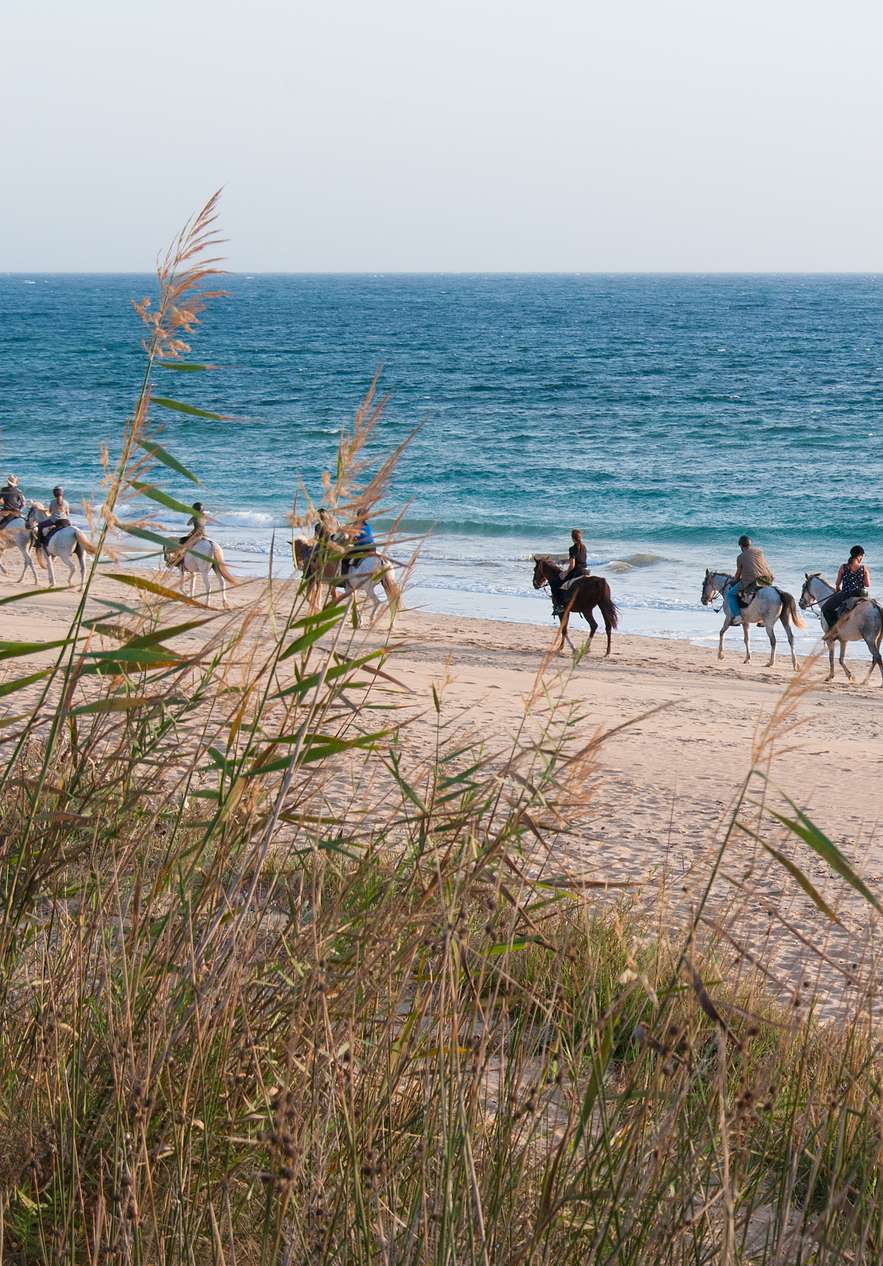 Groupe de personnes faisant une balade à cheval le long des plages de Tróia et de Comporta