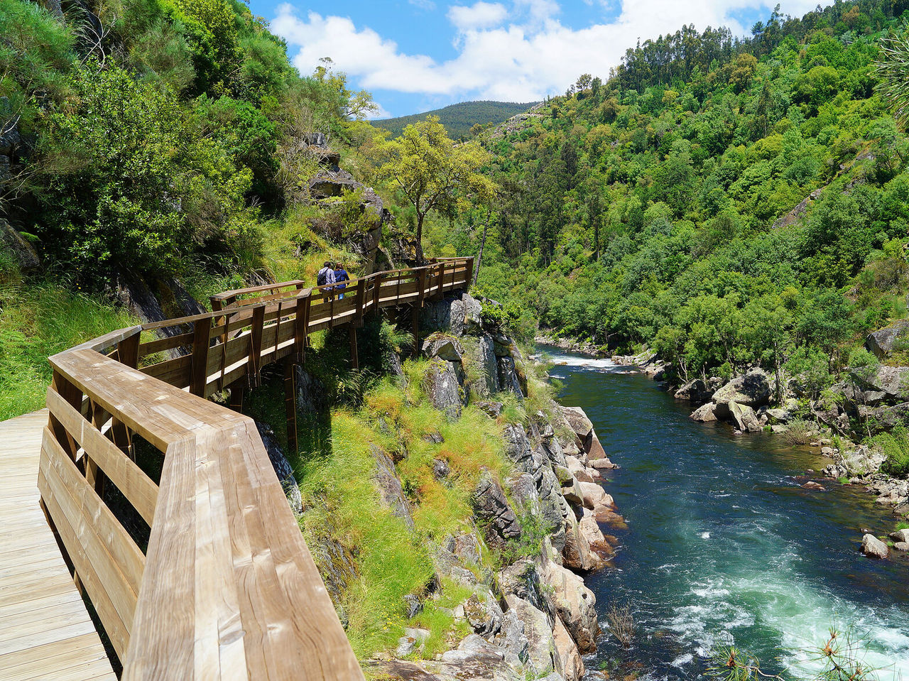 Un beau paysage fluvial entouré de nature, avec une passerelle en bois pour se promener