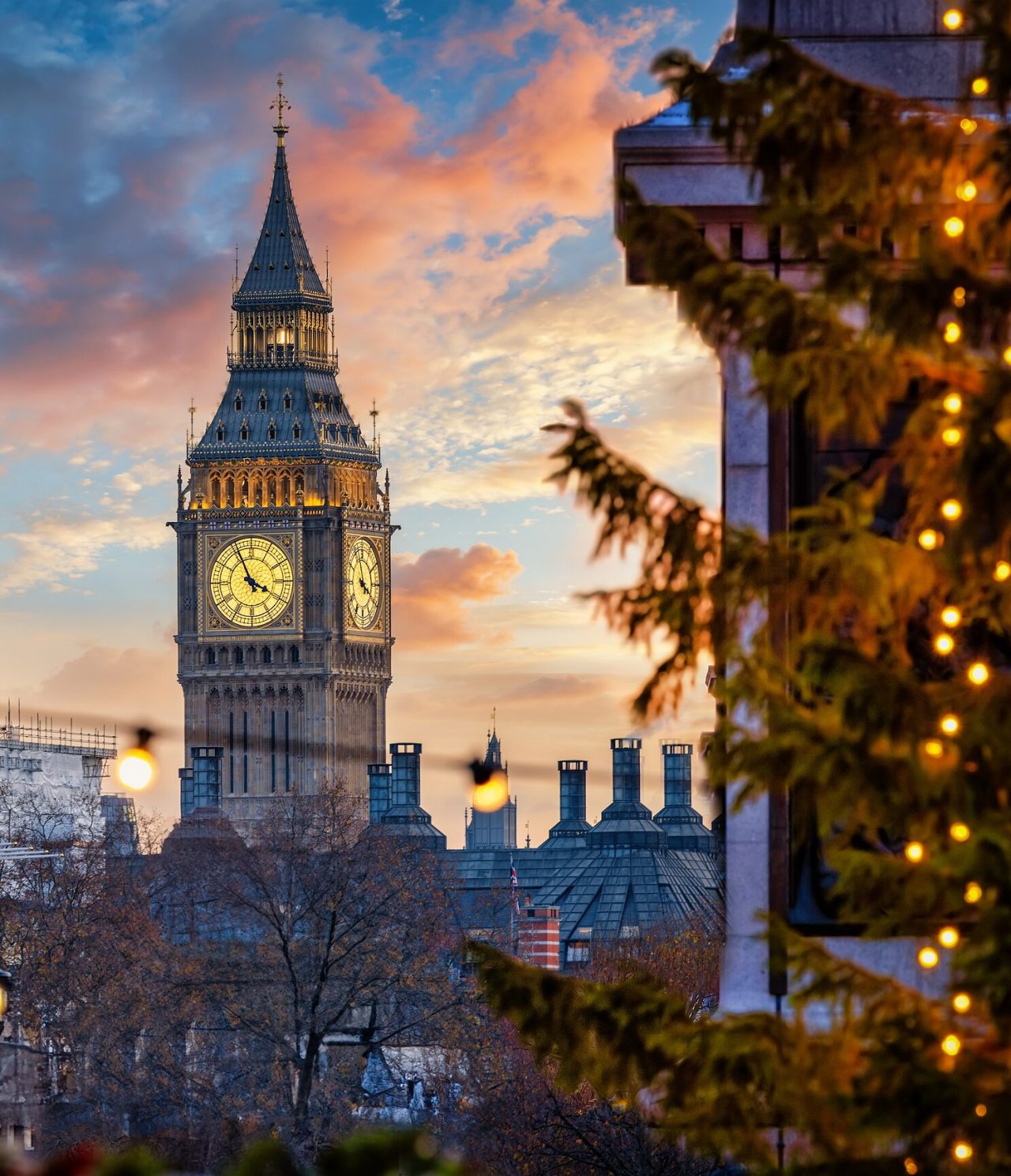 Vue de derrière un arbre du célèbre Big Ben, avec son horloge avec des détails dorés et des aiguilles noires