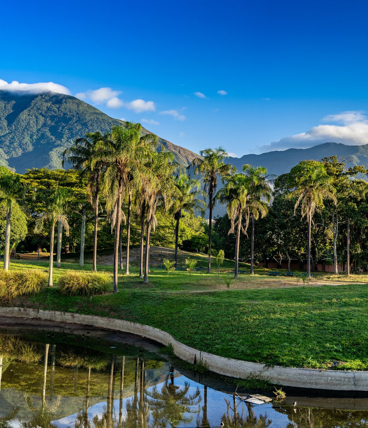 Grandes montagnes vertes avec des nuages au sommet en arrière-plan, entourées de palmiers et d'un lac à Caracas