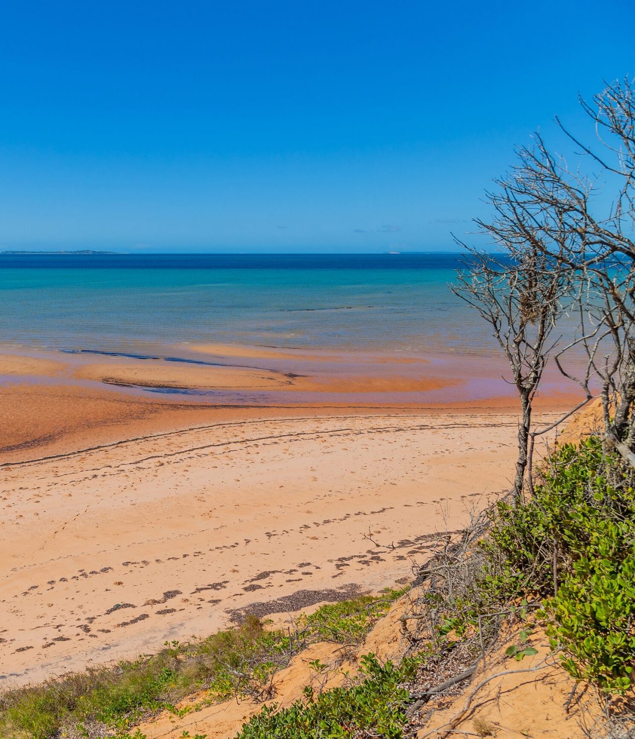 Vista sobre uma praia em Maputo, deserta e com algumas árvores e o mar azul ao fundo