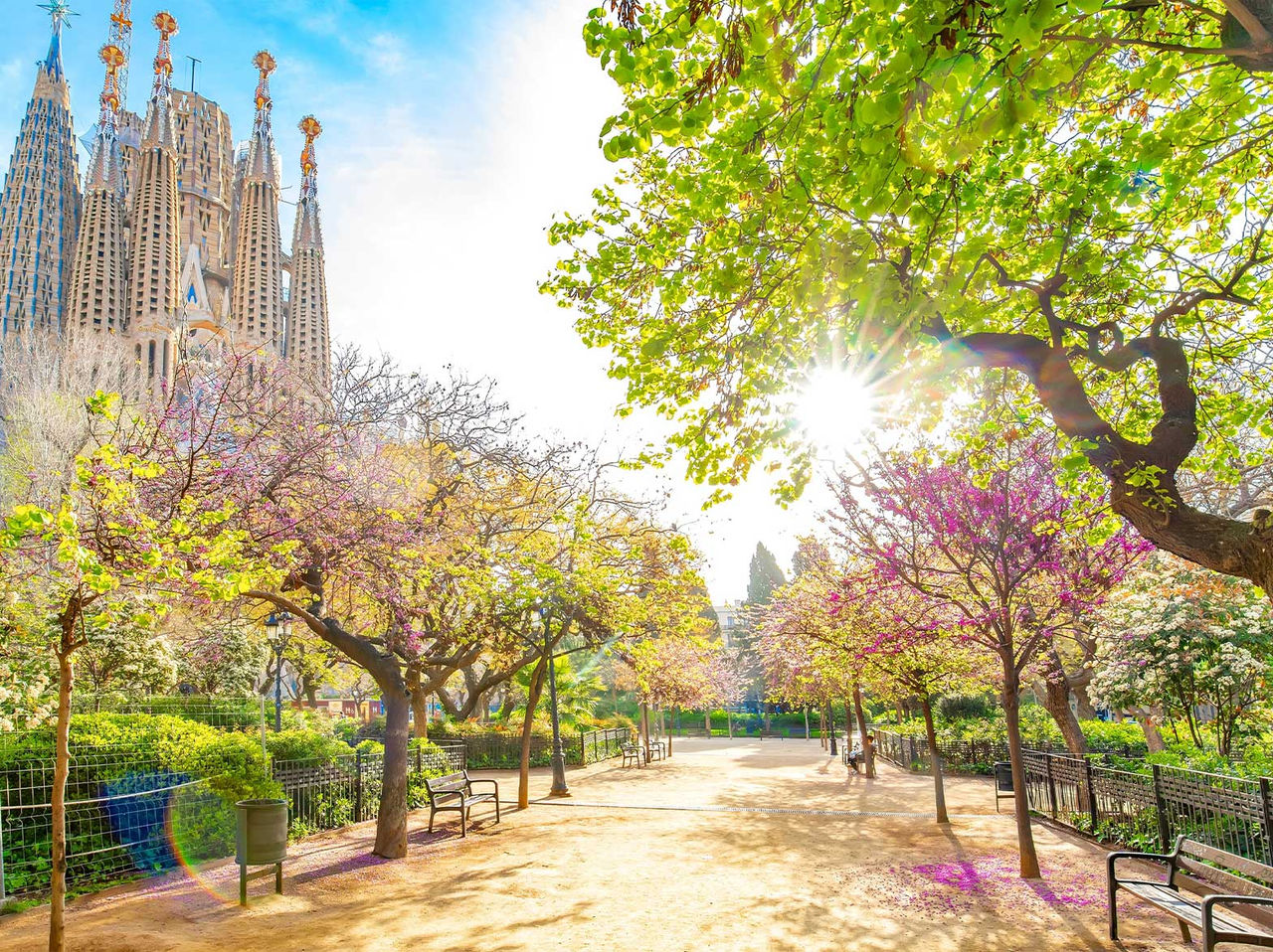 Jardim com árvores coloridas e um caminho de terra, com o imponente edifício da Sagrada Família no fundo, num dia de sol