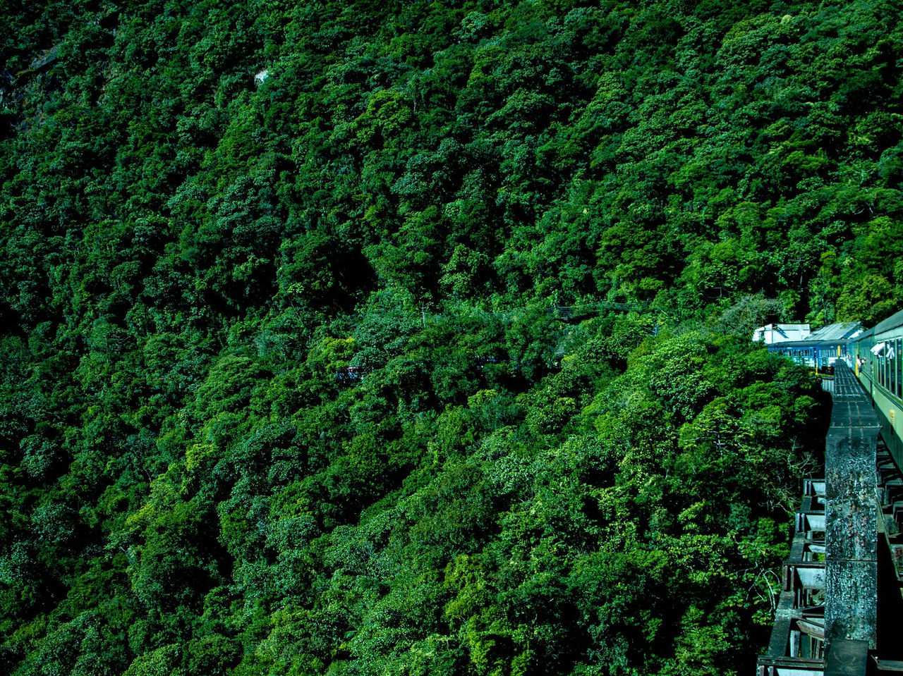 Train winding through green mountains and lush valleys along the way, discovering the beauty of the region